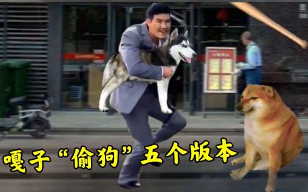 狗王偷狗(他偷狗到底是为了什么)