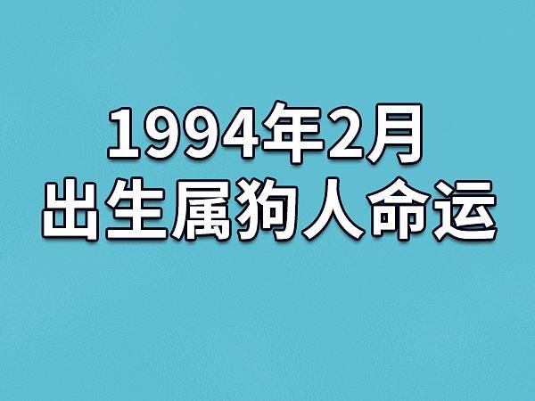 狗生人( 你的运势和命运如何)