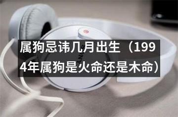 狗生人( 你的运势和命运如何)