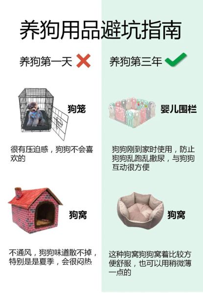 狗用品(哪些是真正需要的)