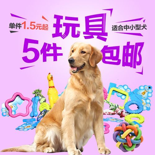 狗用品(哪些是真正需要的)