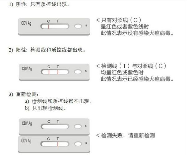 狗瘟抽搐(怎么判断狗狗是犬瘟热引起的抽搐)