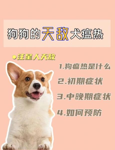 狗瘟早期症状(是不是得了犬瘟热)