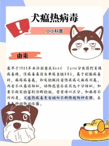 狗瘟热病毒(犬瘟热病毒的传播途径有哪些)