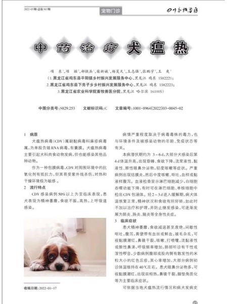 狗瘟能治好吗( 后期还有机会吗)