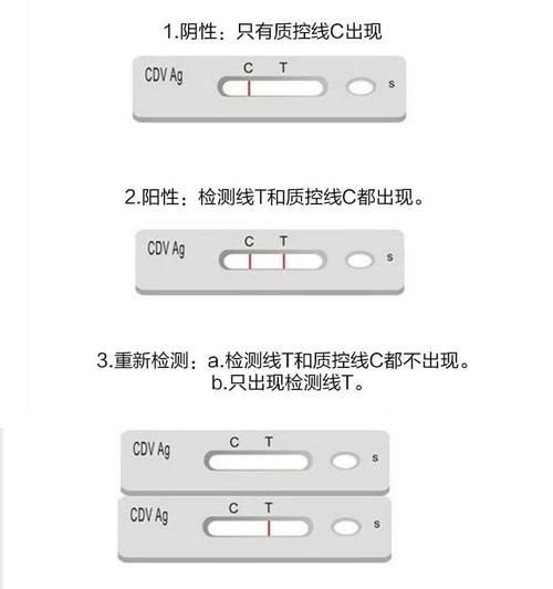 狗瘟试纸(要不要用犬瘟试纸检测一下)