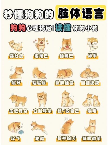 狗的习性( 是不是生病了)
