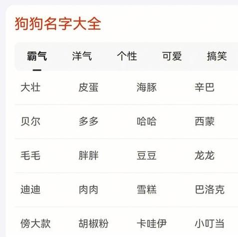 狗的名字(起个什么名字才能让它充满正能量)