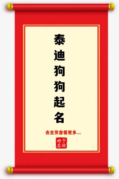 狗的名字(起个什么名字才能让它充满正能量)