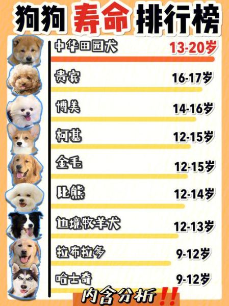 狗的平均寿命(什么原因会导致狗狗寿命短)