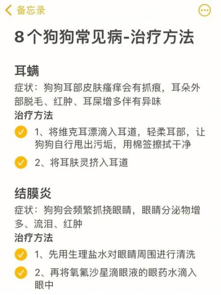 狗的皮肤病怎么治(哪些细节要注意)
