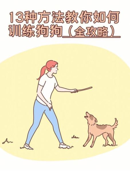狗的训练(怎么才能让它乖乖听话)