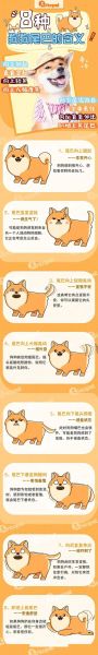 狗的象征意义(狗狗为什么会被视为幸运的象征)