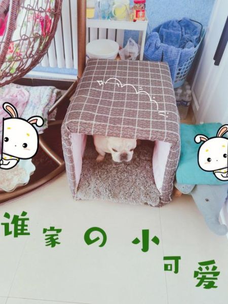 狗窝制作(教你DIY一个温暖狗窝)