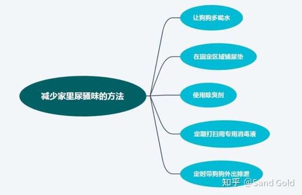 狗粮怎么喂(狗狗的便便能说明问题吗)