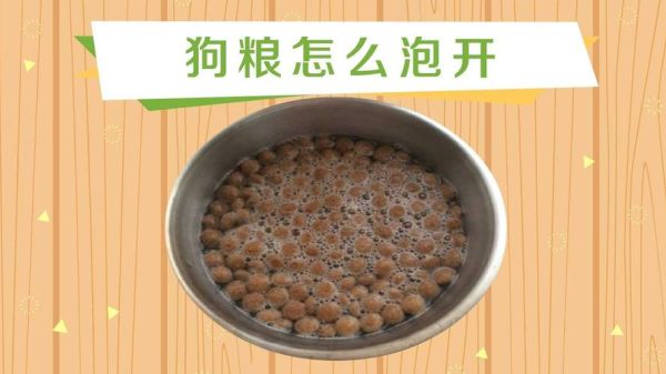 狗粮怎么泡( 用什么水泡狗粮最合适)