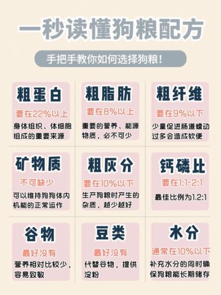 狗粮怎么选( 新手铲屎官如何避坑选粮)