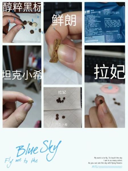 狗粮的制作方法(营养专家怎么说)
