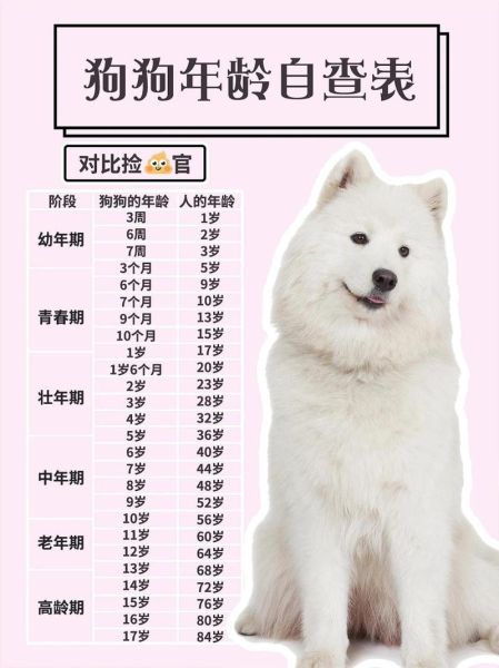 狗能活多少年(我家狗狗能活到15岁吗)