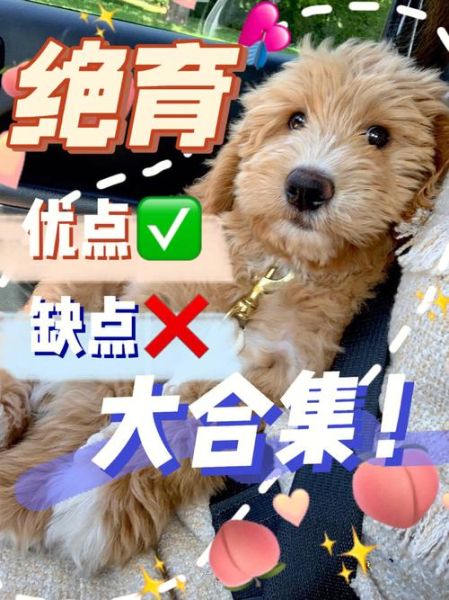 狗茎( 是正常现象还是有风险)