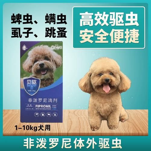 狗蜱虫(怎么预防狗狗被蜱虫叮咬)