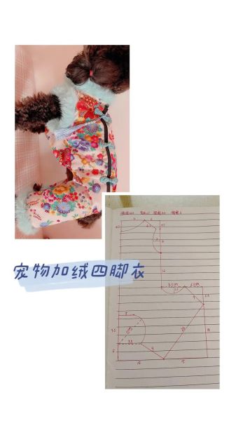 狗衣服(3分钟就能搞定)