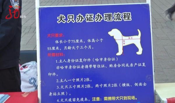 狗证怎么办理( 小区不让养狗怎么办)