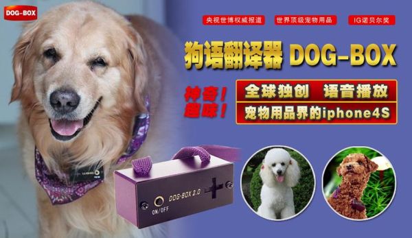 狗语翻译机(我家狗子会用翻译机吐槽我吗)