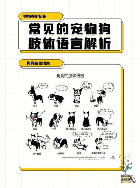 狗语言翻译(试试用狗语交流)
