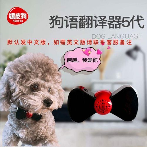 狗语言翻译器(翻译器能帮我们和狗狗交流吗)