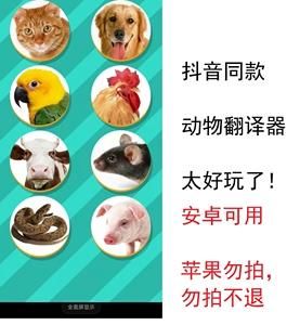 狗语言翻译器(翻译器能帮我们和狗狗交流吗)