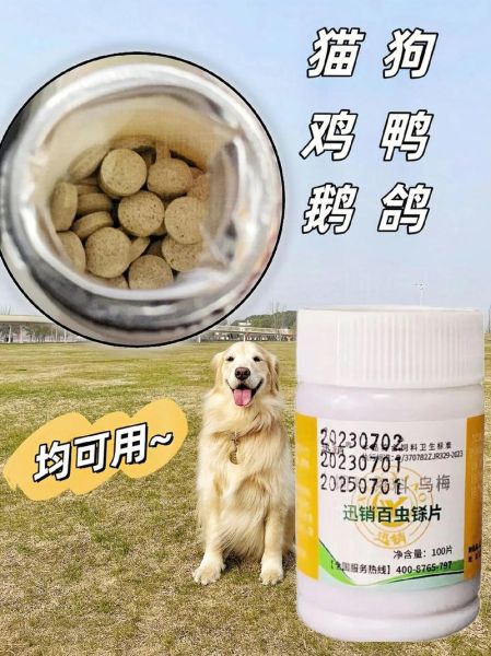 狗身上的吸血虫(需要用什么药)
