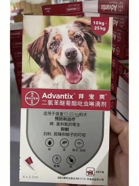 狗身上的吸血虫(需要用什么药)