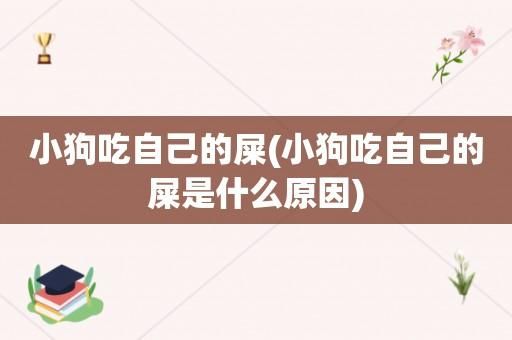 狗食粪症(很多狗狗都干过这事)