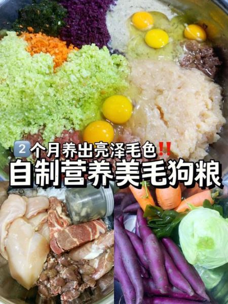 狗食配方(燕麦片和鸡蛋怎么放)