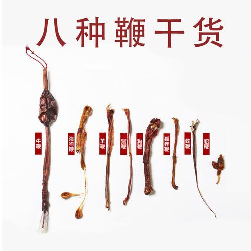 狗黄(狗黄能当药用吗)