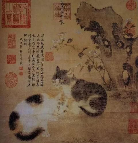 狸奴是什么意思(古代人为啥喜欢给猫起这名字)
