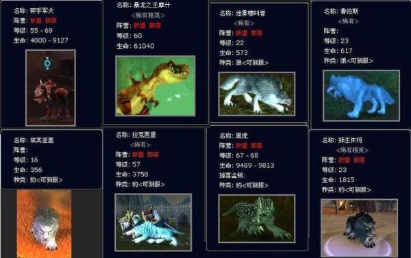 猎人宠物大全(你需要了解这些魔兽世界宠物)