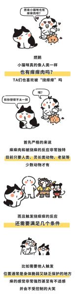 猫(为什么总是喜欢挠人呢)