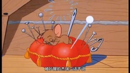 猫为什么吃老鼠( 还是为了填饱肚子)