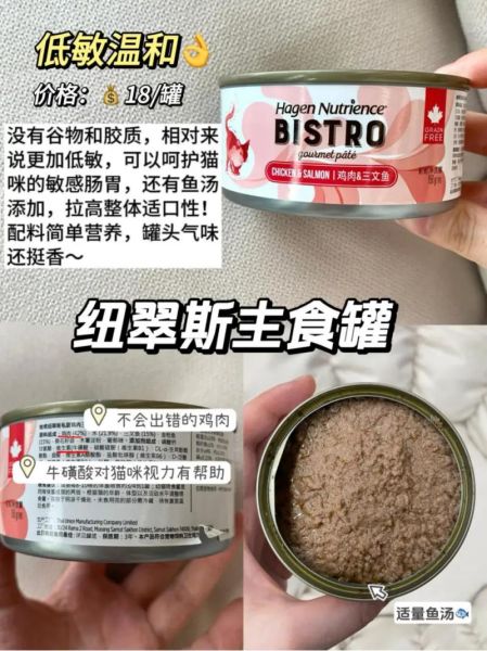 猫主食(你还会选择罐头吗)