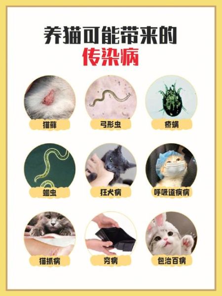 猫传染病( 猫瘟会传染给人吗)