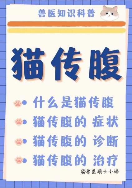 猫传腹是什么病( 传腹能彻底治好吗)