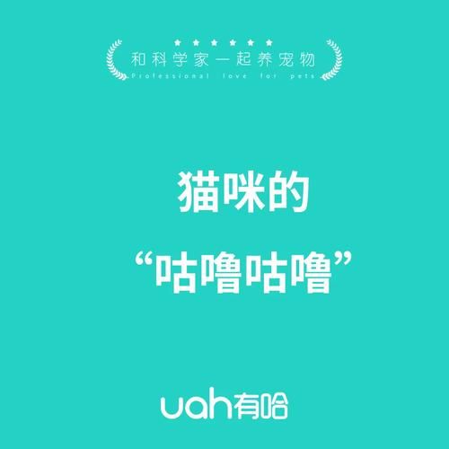 猫发出咕噜咕噜的声音是什么意思(这声音背后隐藏着什么秘密)