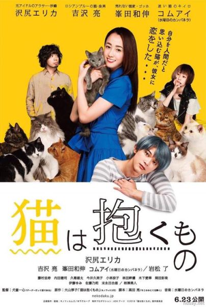 猫咕(是做游戏还是做网站)