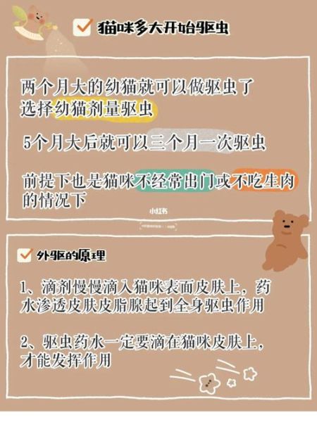 猫咪什么时候可以驱虫(多久做一次驱虫比较靠谱)