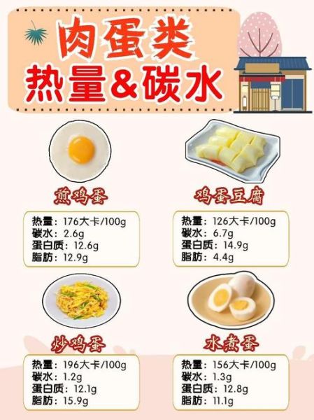 猫咪减肥(怎样才能制定一个科学的减肥计划)