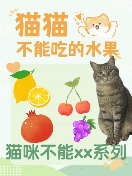 猫咪吃水果(哪些水果能让猫咪更健康)