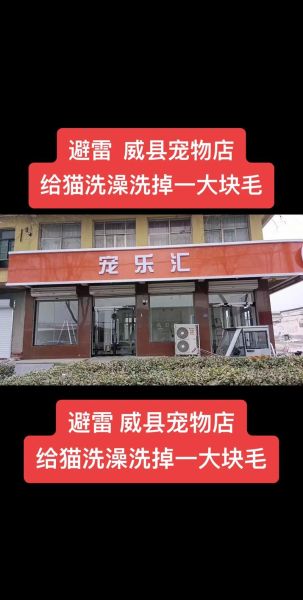 猫咪宠物店洗澡多少钱( 便宜的宠物店靠谱吗)