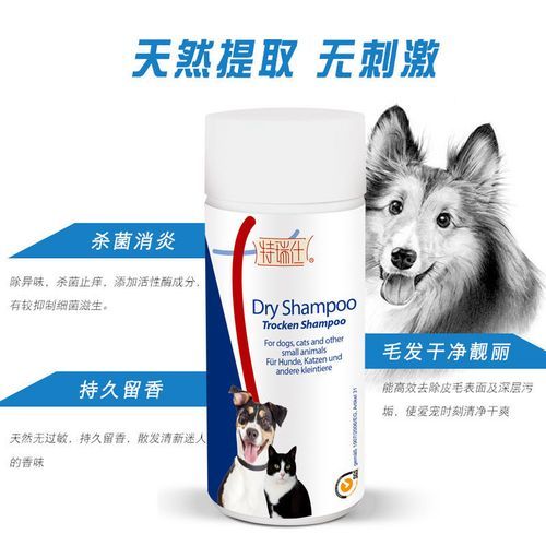 猫咪干洗(用干洗粉可以吗)